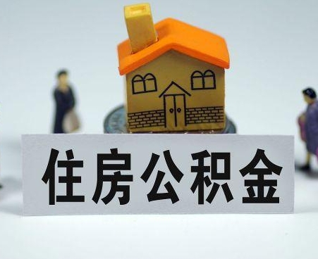 常宁专业的公积金提取服务平台